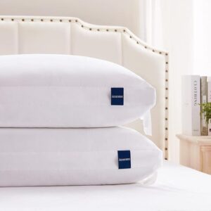 ACCURATEX Pillows King Size Set of 2